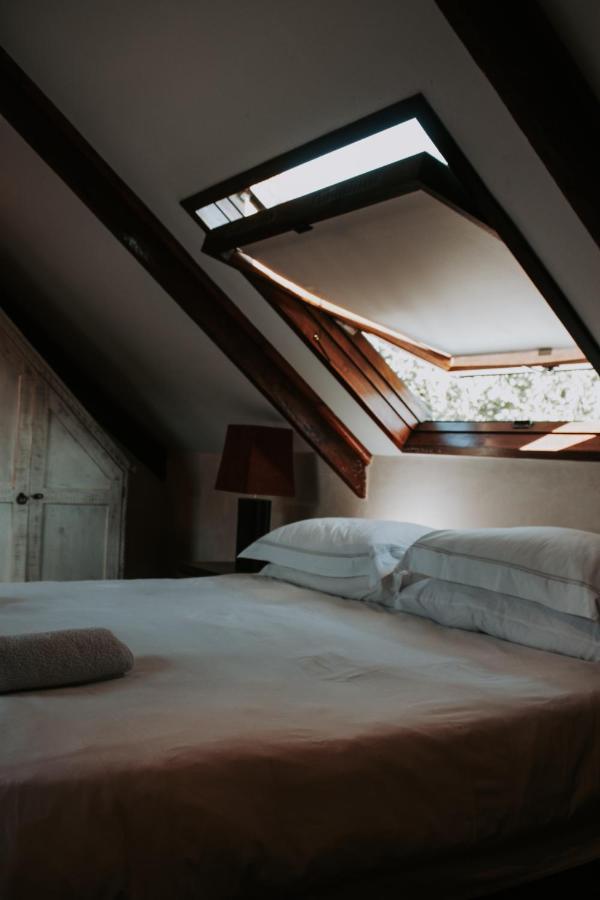 Bloemendal Wine Estate Accommodation Kapsztad Zewnętrze zdjęcie